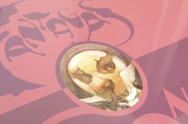 Coffret Fantagas – Image 5