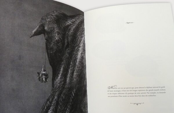 Nombreux sont ceux qui ignorent – Image 3