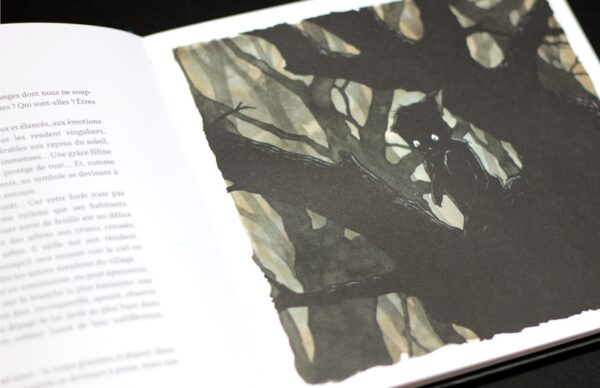 Les Songes de Léo – Image 6