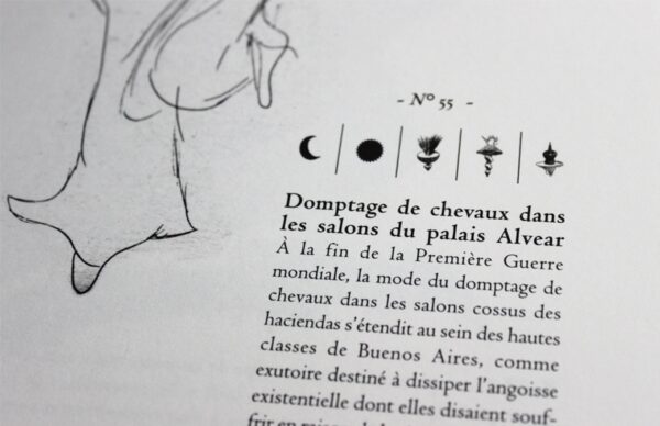 Rapport visuel sur la ville de Buenos Aires et ses environs – Image 4